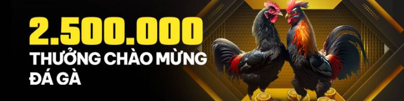 Khuyến Mãi BetVisa Mới Nhất 2025: Săn Ưu Đãi, Rinh Quà Cực Khủng 6 2.500.000 VNĐ thưởng chào mừng Đá Gà